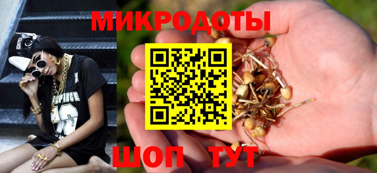 Галлюциногенные грибы мухоморы  Галлюциногенные грибы прущие грибы  Вход с VPN  Иваново 